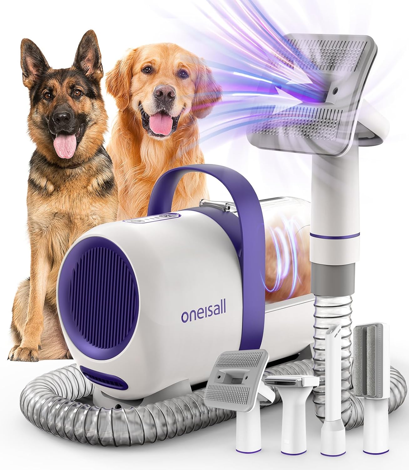 Location - Aspirateur pour chiens avec brosse - 1,5L - Puissance 12000Pa