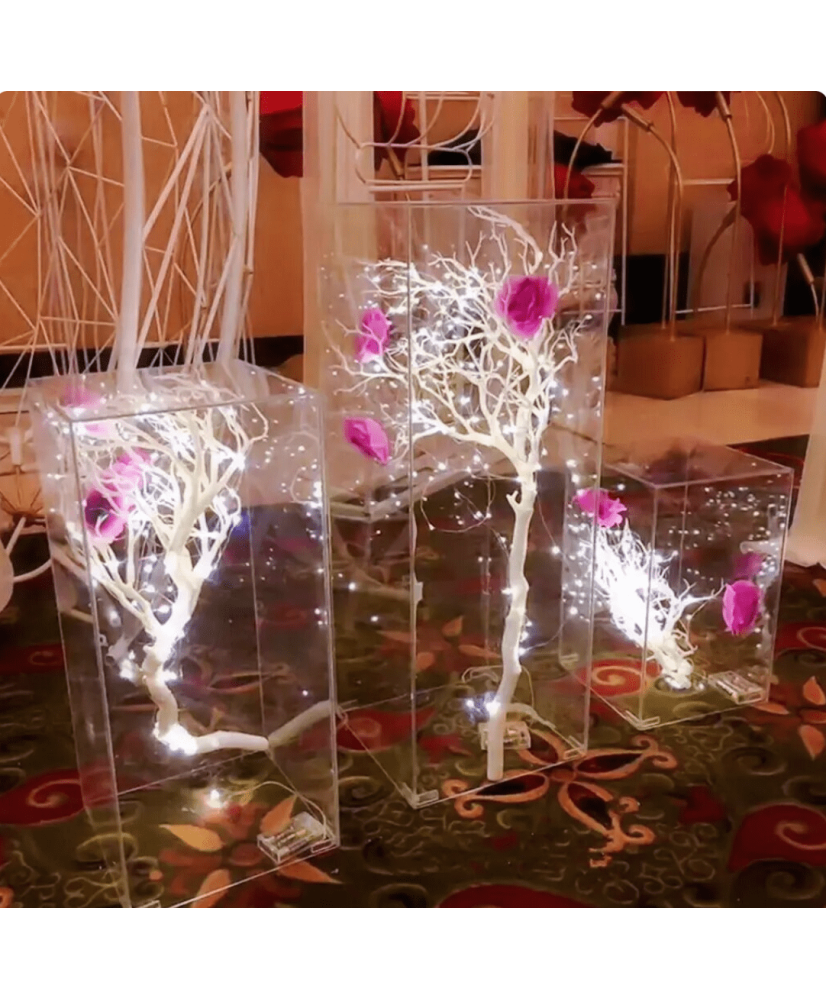 Location - Lot de 3 Colonnes plexi transparentes