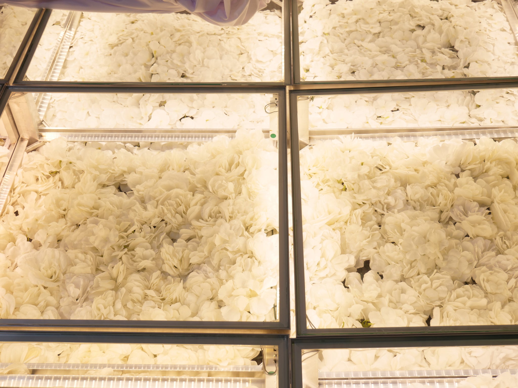 Location - Podium lumineux