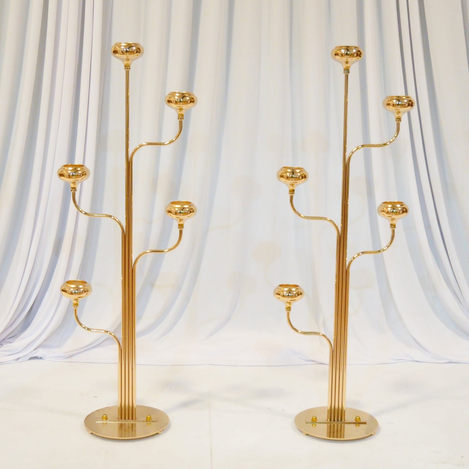 Location - Allée centrale décorée - Brody 100