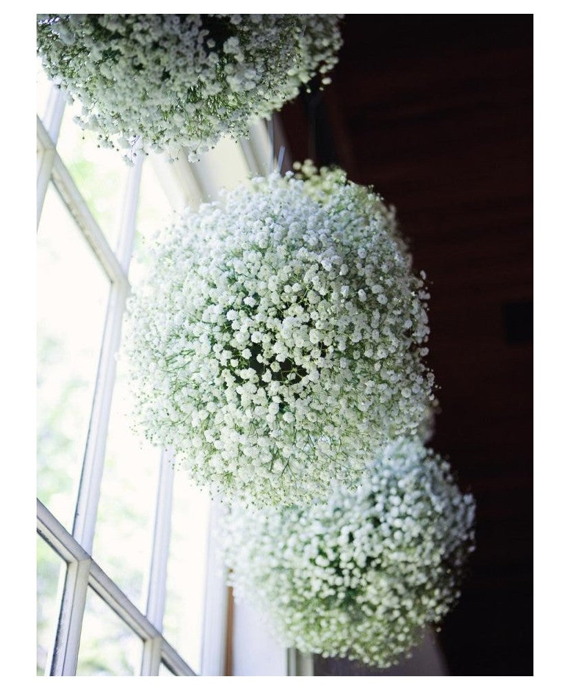 Location - Boule de fleurs Gypsophile 60 cm
