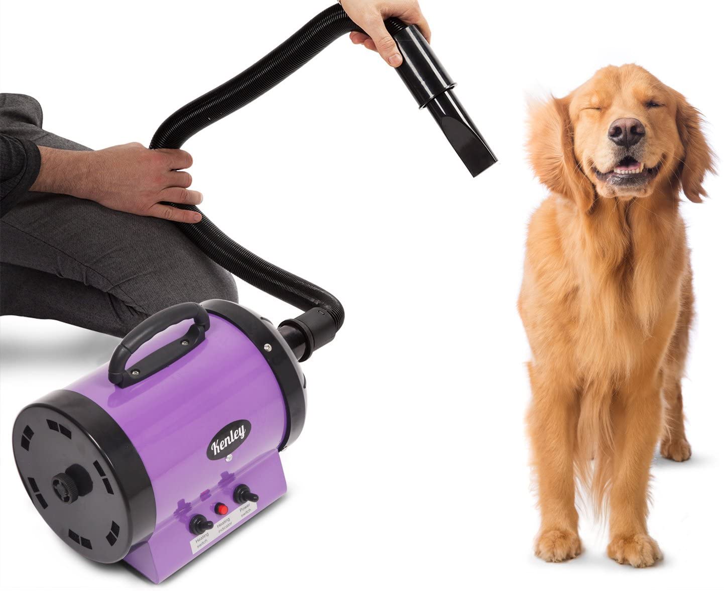 Location - Séchoir Sèche-Poils Toilettage pour Chiens Chats Animaux 2800W