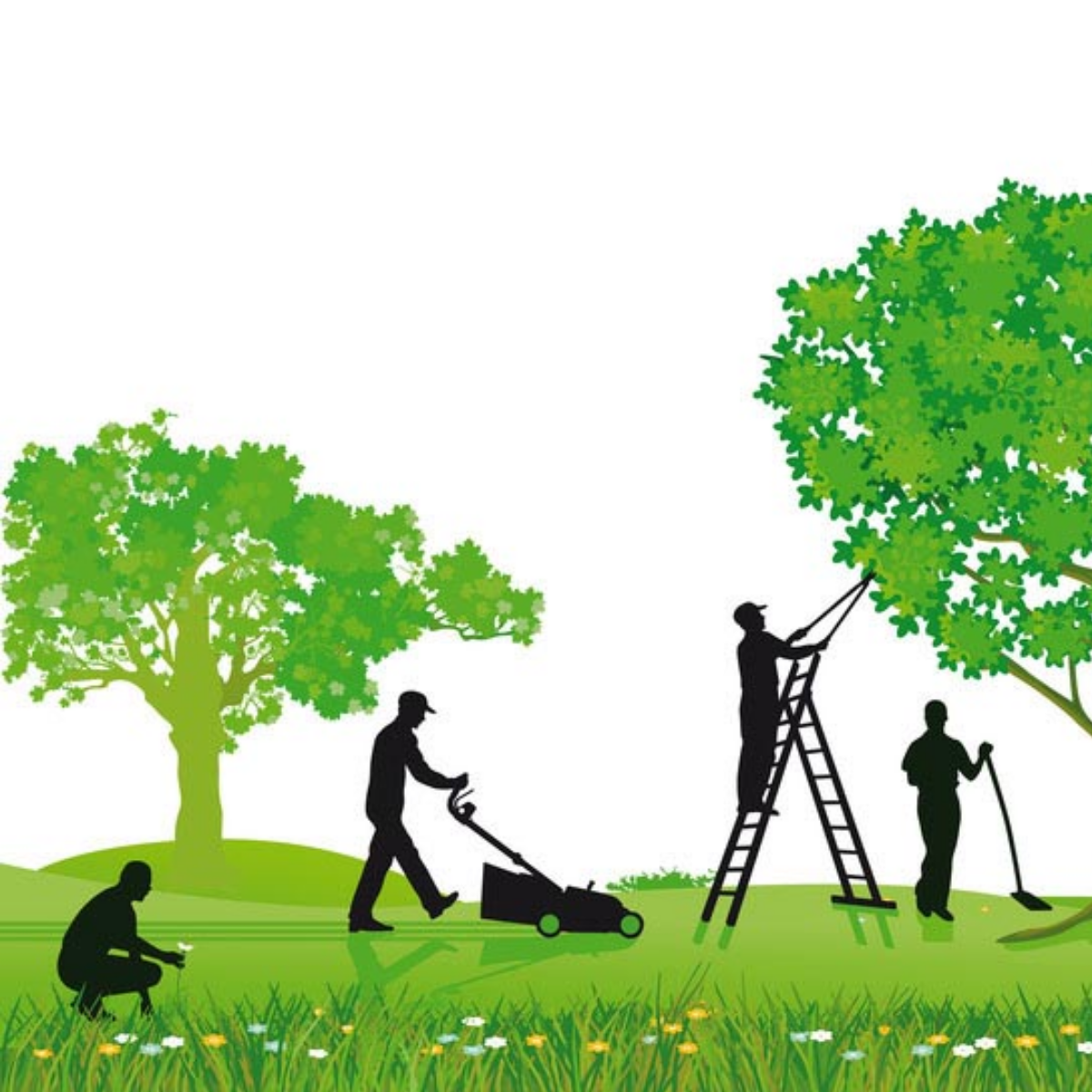 Entretien du jardin