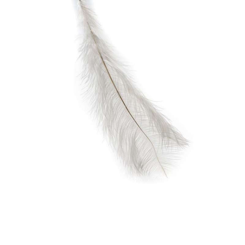 Les plumes