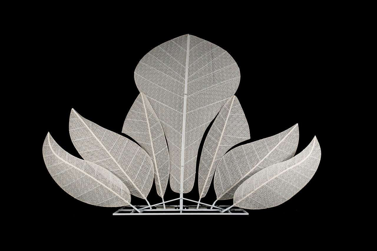 Location - Backdrop LED Victoria - 240 x 370cm [BDLEDVICTO1]