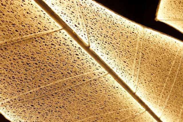 Location - Backdrop LED Victoria - 240 x 370cm [BDLEDVICTO1]