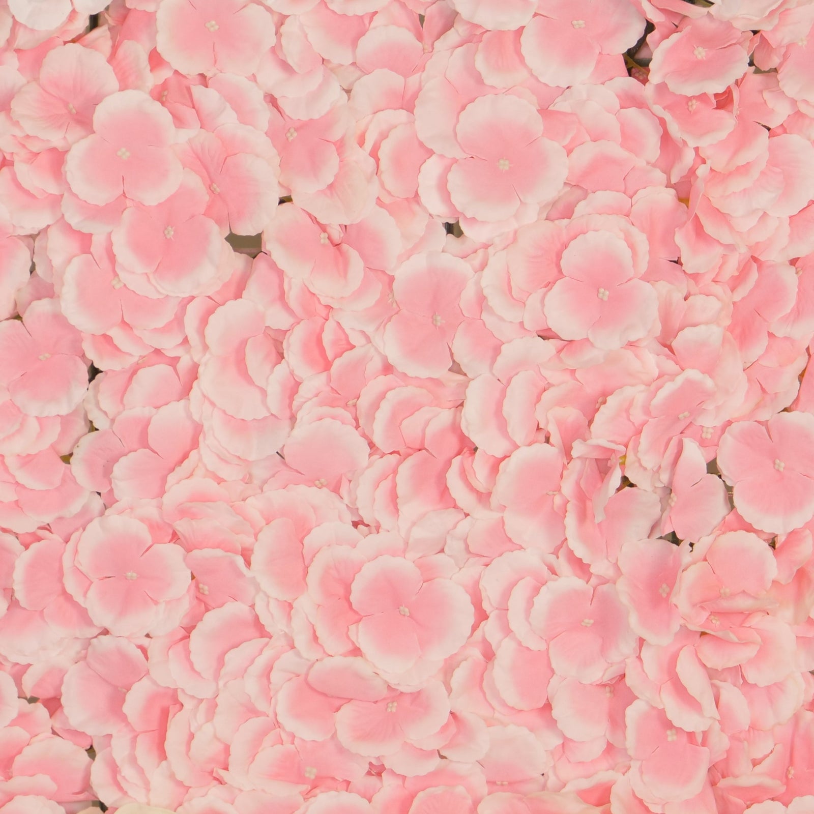 Location - Mur de Fleurs rose 180x160cm