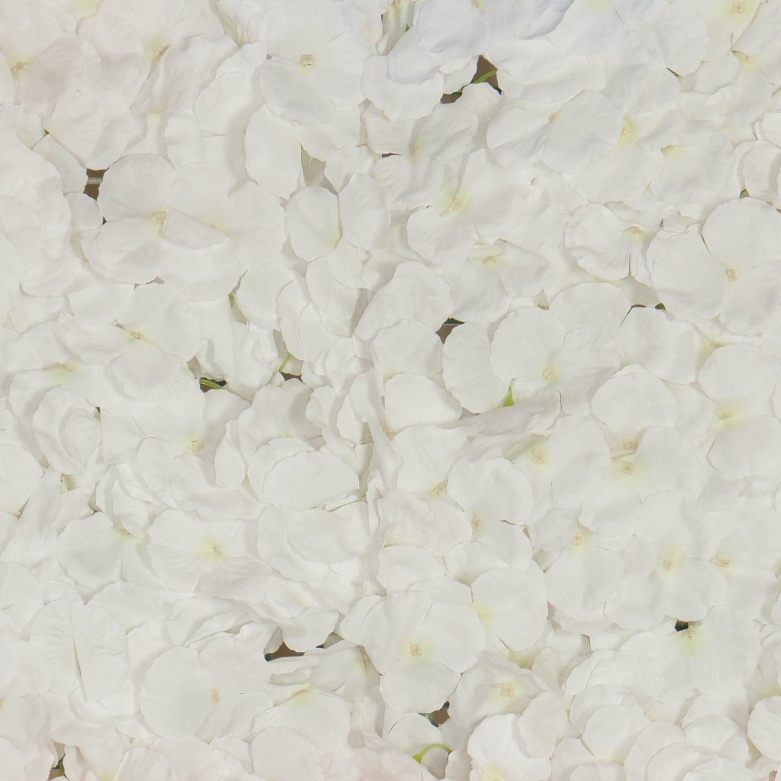 Location - Mur de Fleurs blanc 180x160cm