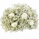 Location - Boule de fleurs Gypsophile 50 cm [FDB50GYPSO]